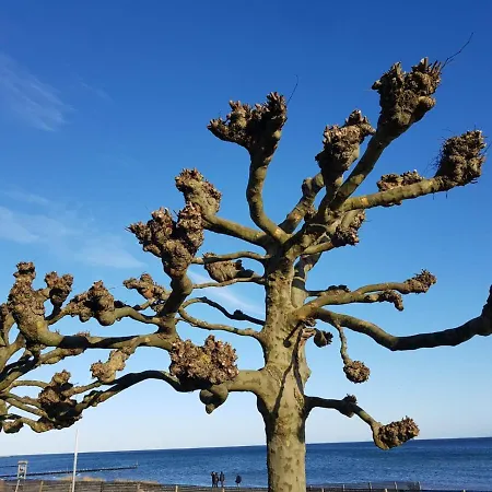 Lejlighed Ferienwohnung Lee Ostsee Grube